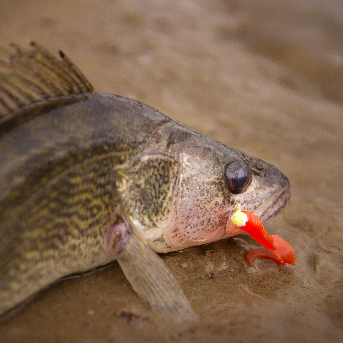 news-south-dakota-game-fish-and-parks