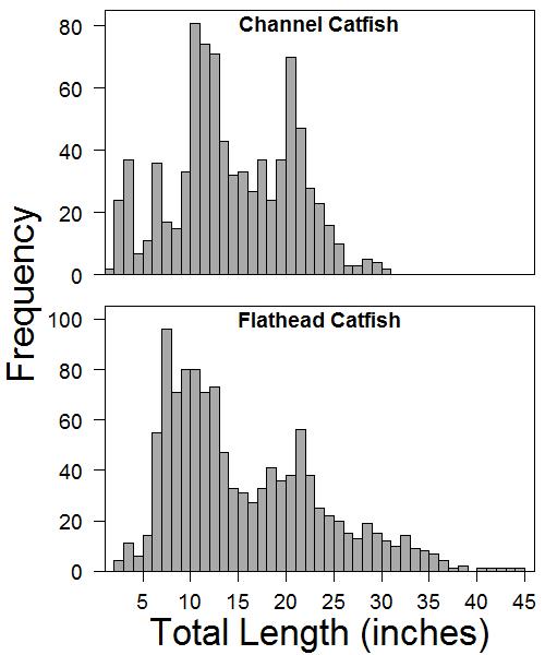 Bluegill Growth Rate Chart