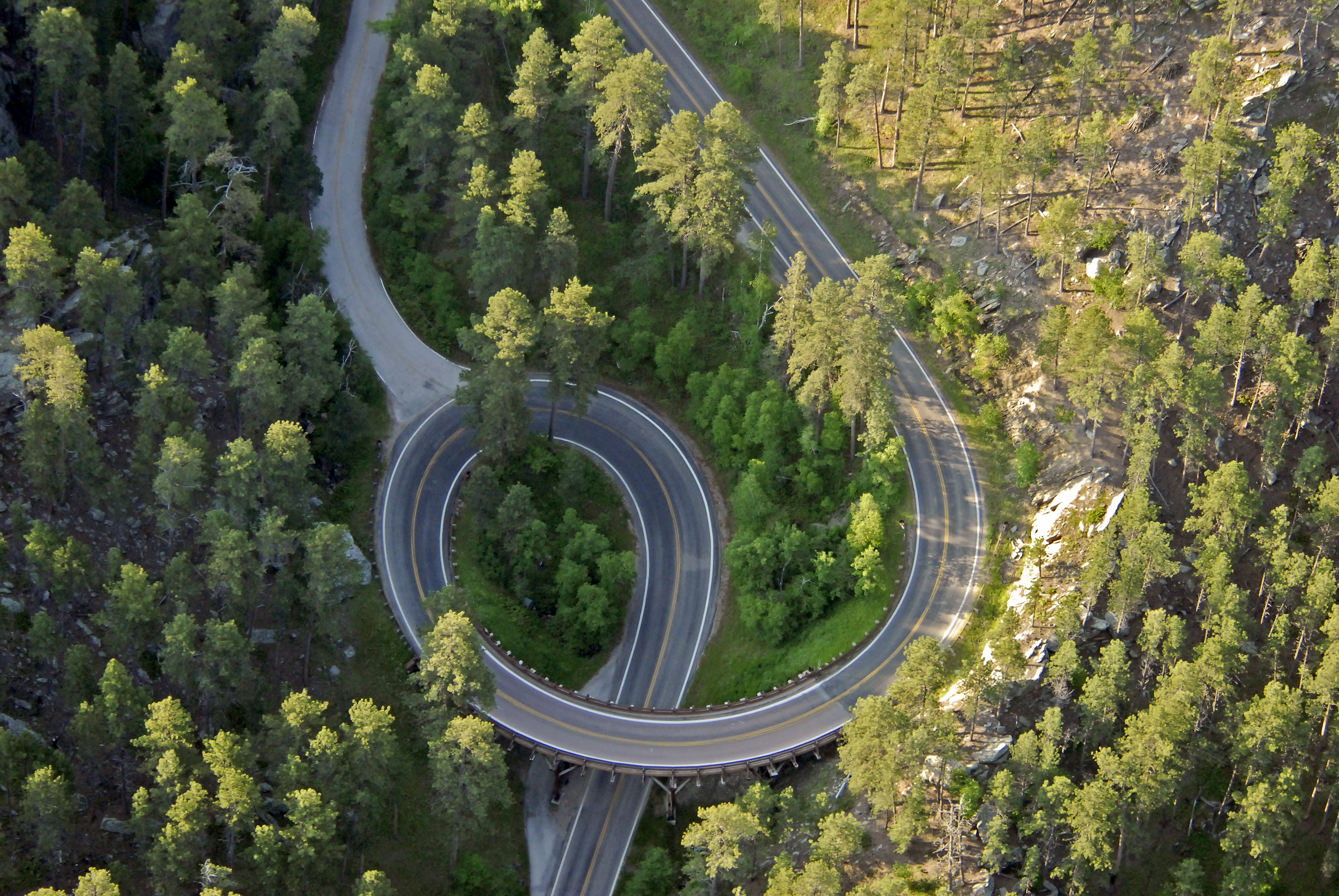 Pigtail Bridges Of Custer State Park