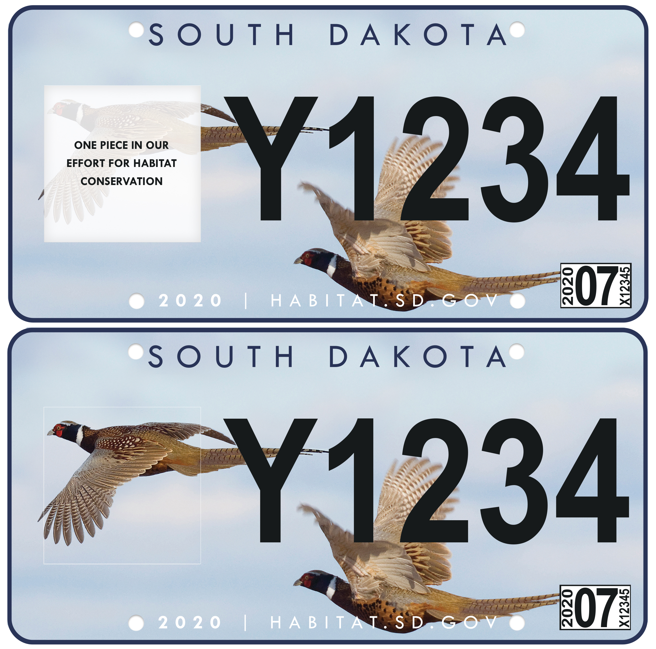 pheasant license plate