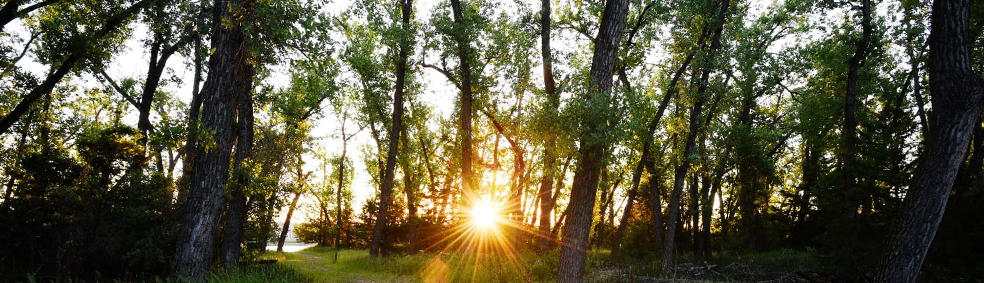 Hero image showing a South Dakota State Park