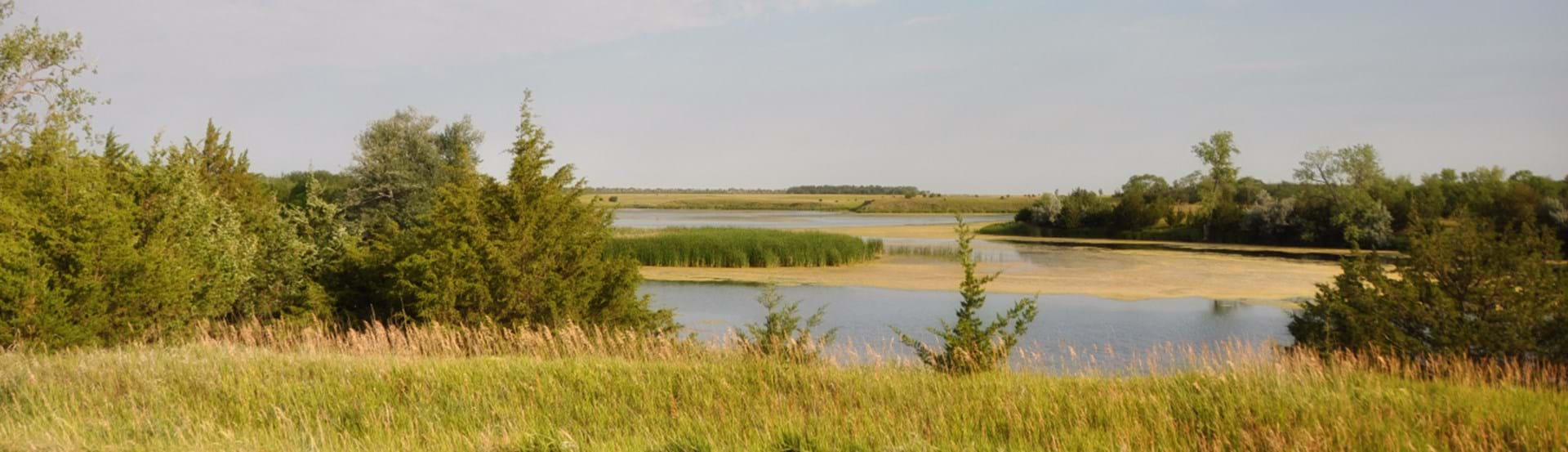 Hero image showing a South Dakota State Park
