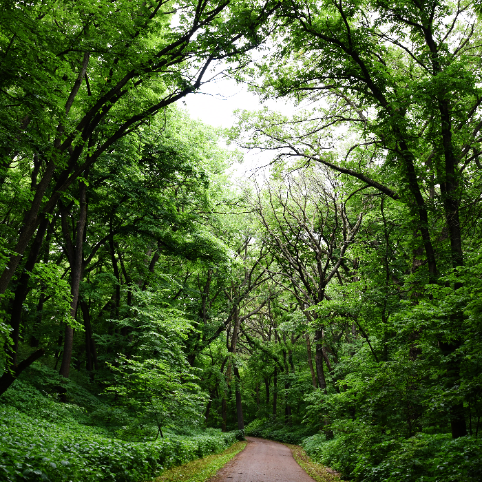 /userdocs/Newton Hills State Park