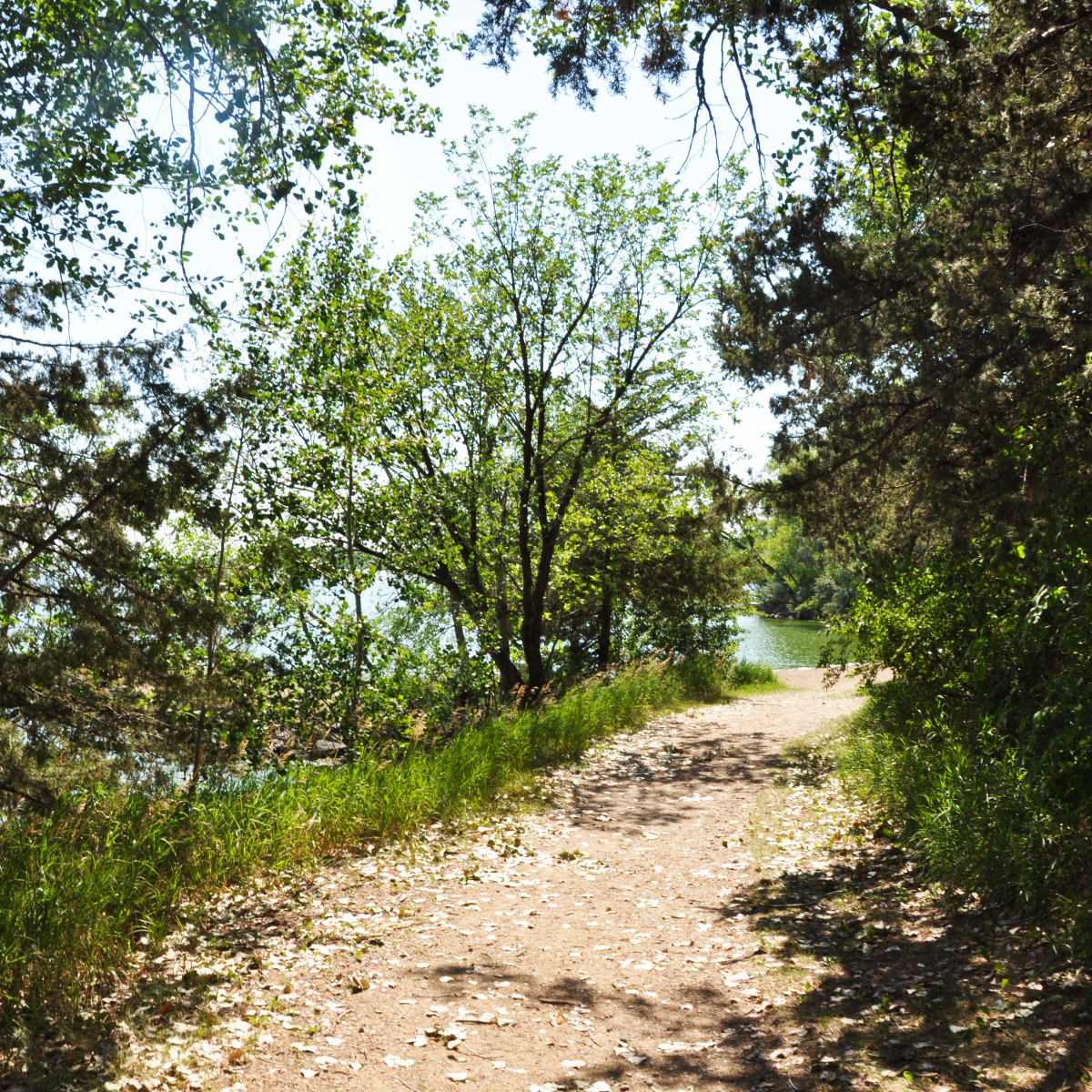 Richmond Lake Recreation Area South Dakota Game Fish And Parks