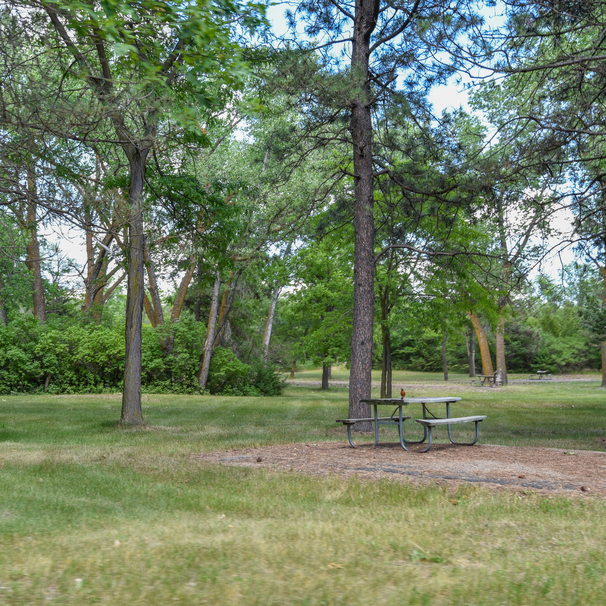 /userdocs/Burke Lake Recreation Area