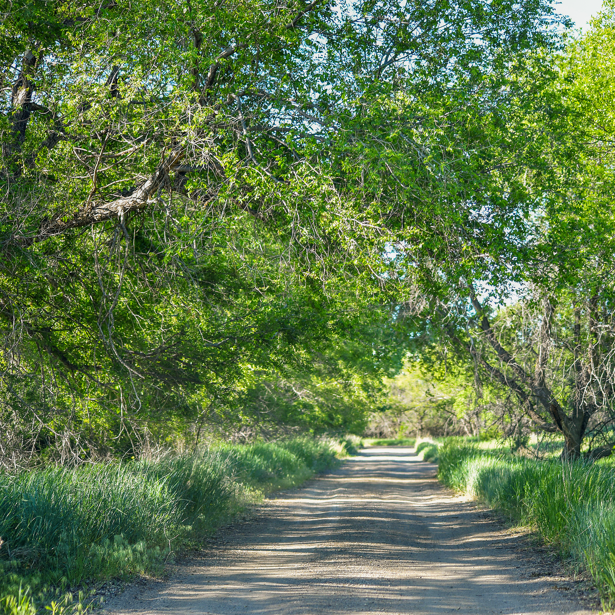 /userdocs/Cow Creek Recreation Area 