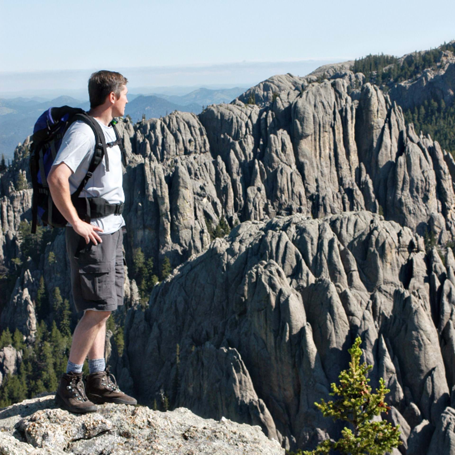 Thumbnail image of Black Elk Peak Area Map