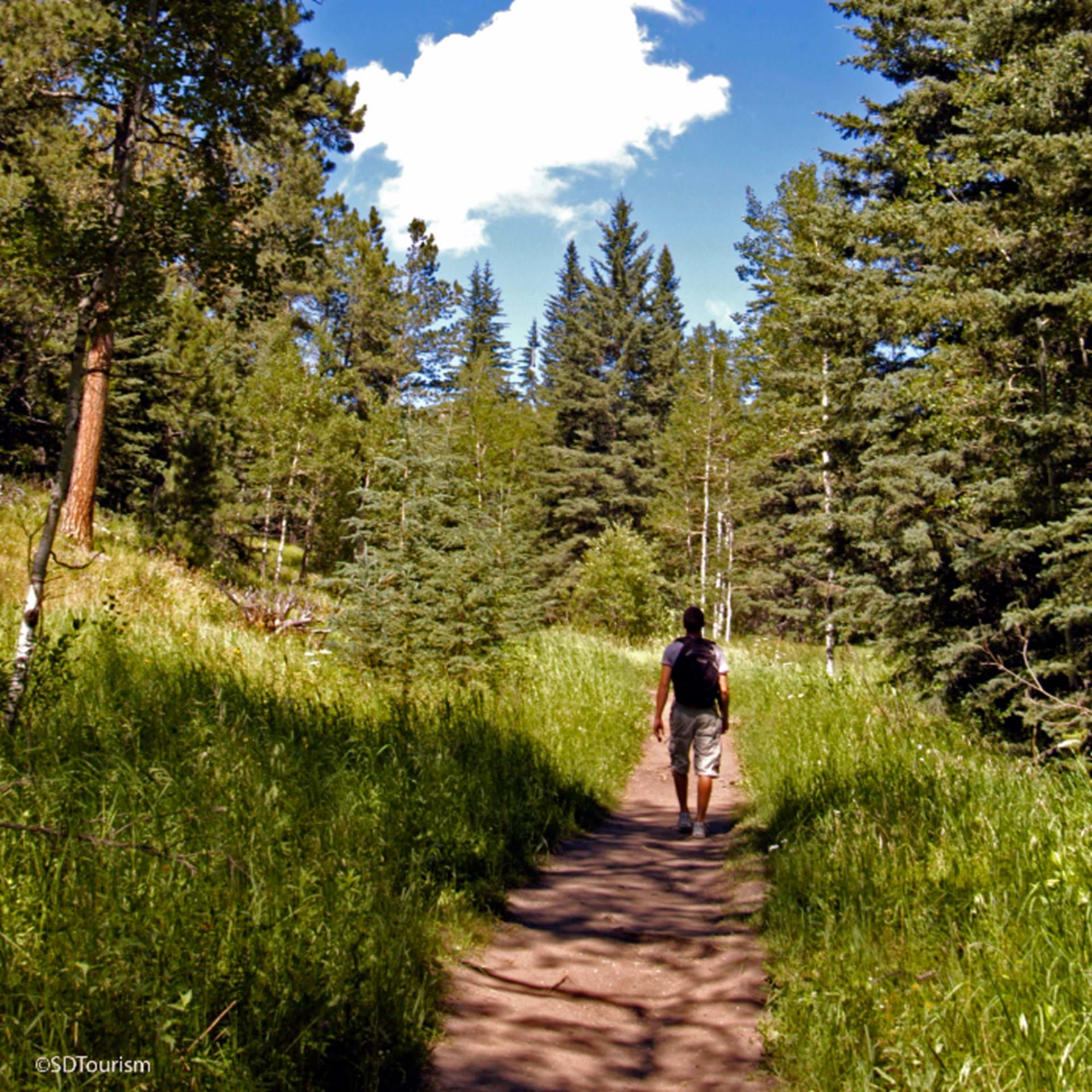 Thumbnail image of Custer State Park Trail Guide