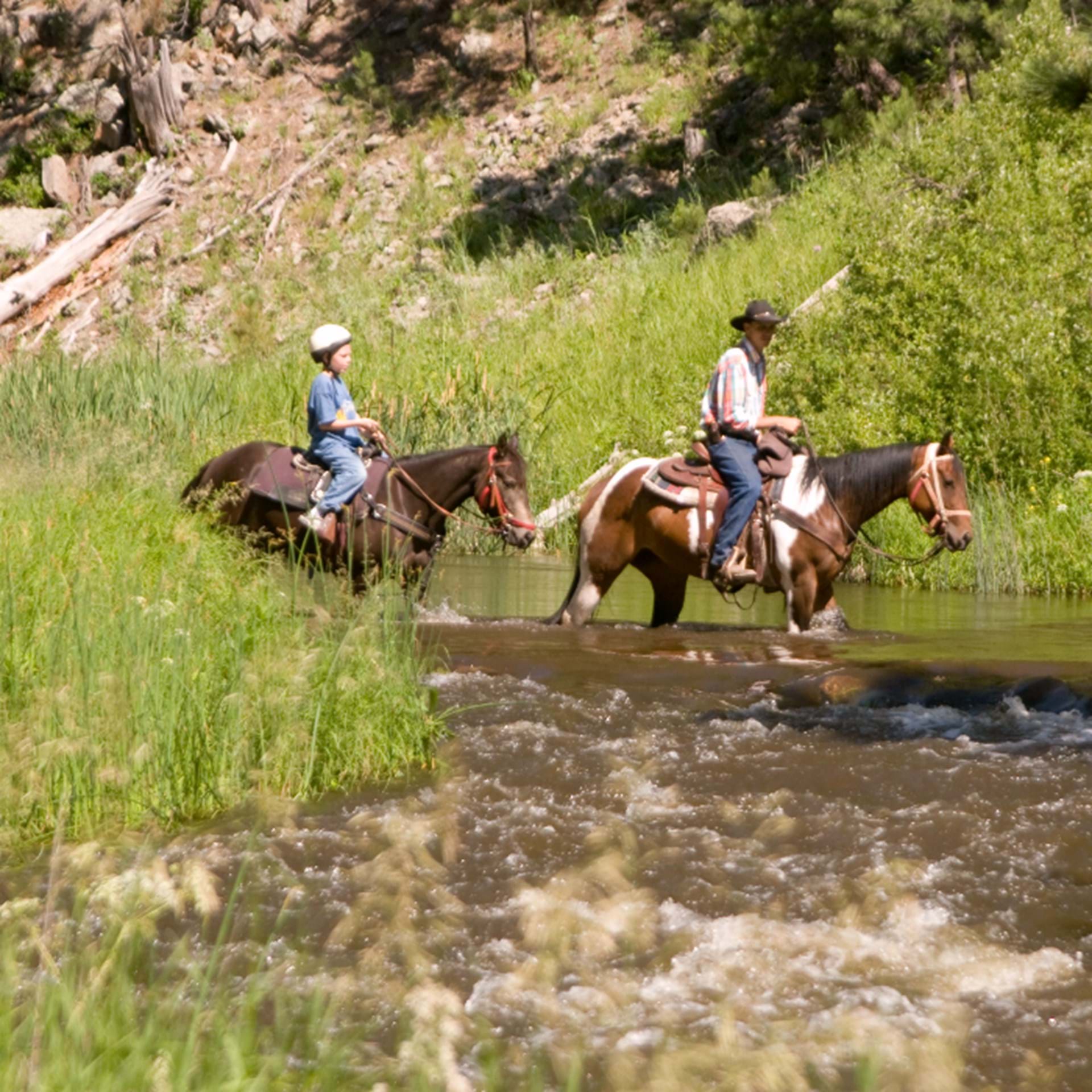 Thumbnail image of Custer State Park Horse Trails Map