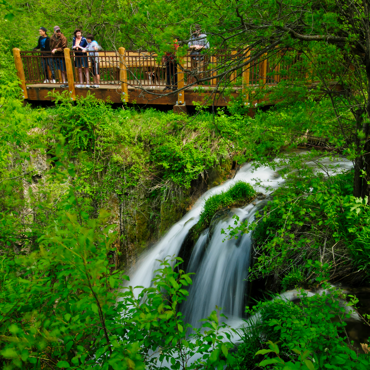 /userdocs/Spearfish Canyon Nature Area