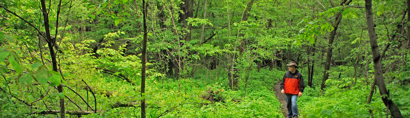 Hero image showing a South Dakota State Park