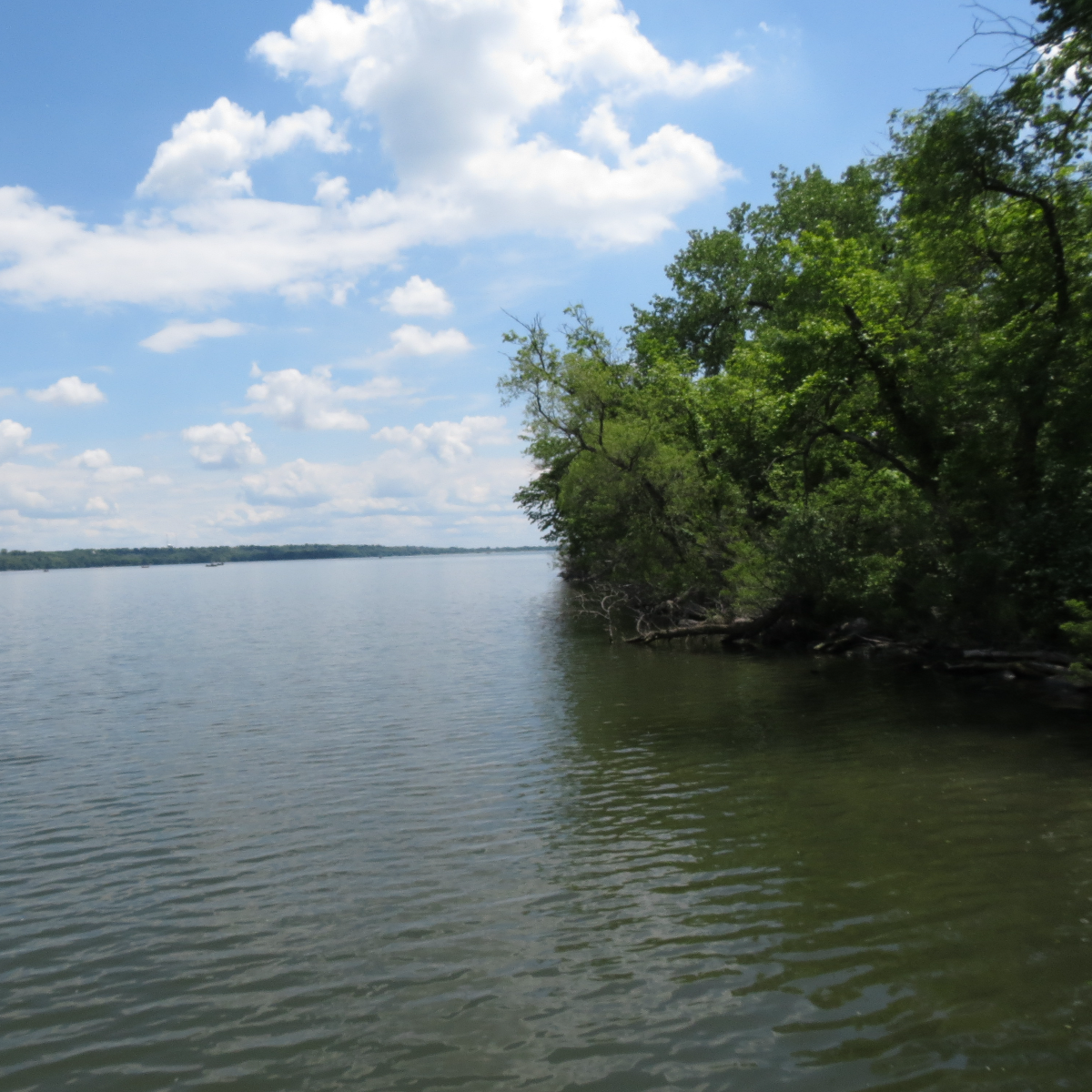 /userdocs/Big Stone Island Nature Area