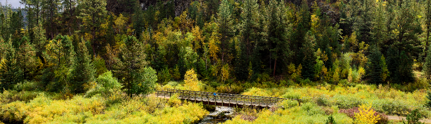 Hero image showing a South Dakota State Park