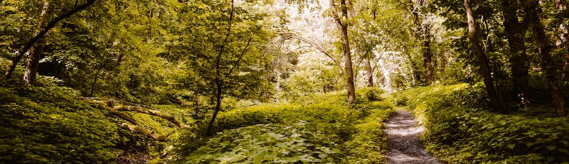 Hero image showing a South Dakota State Park