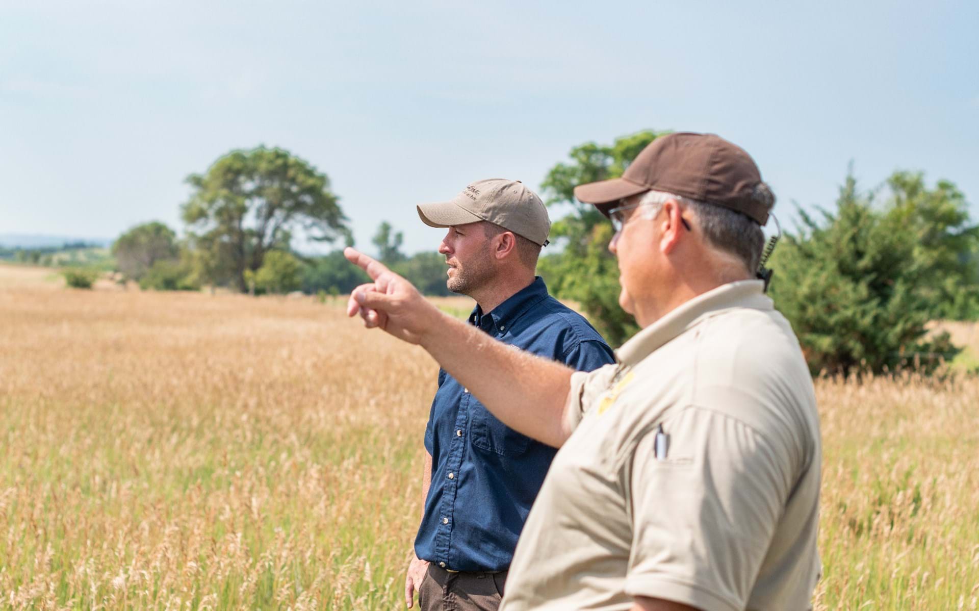 Thumbnail image of Habitat Advisors
