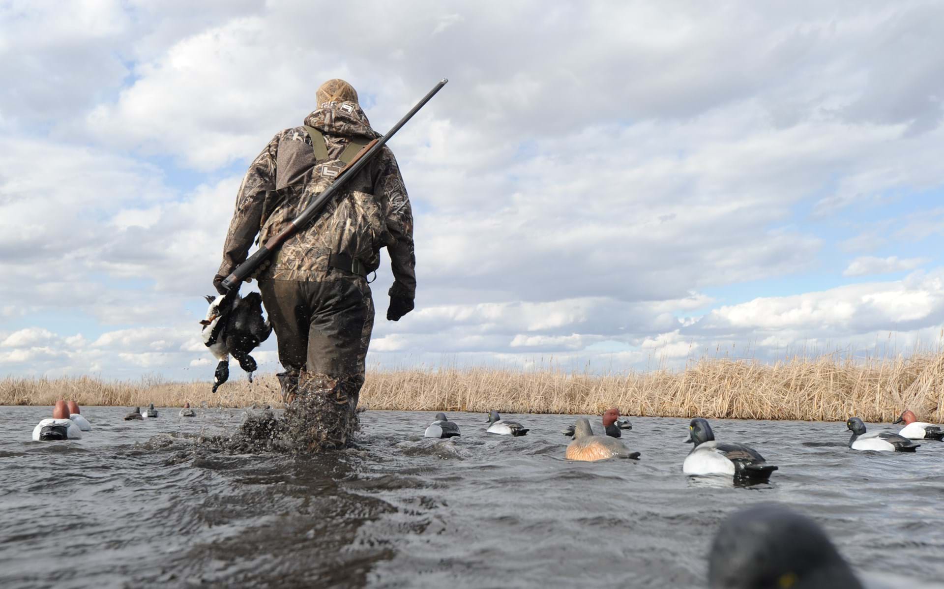 Thumbnail image of Waterfowl Hunting Access