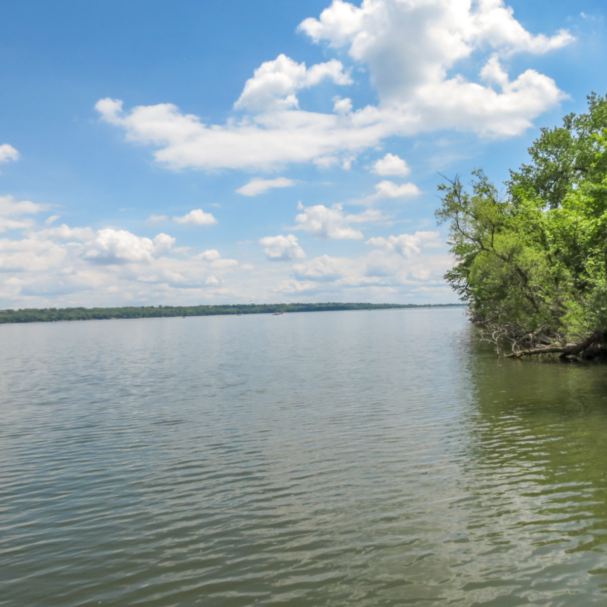 /userdocs/Big Stone Island Nature Area