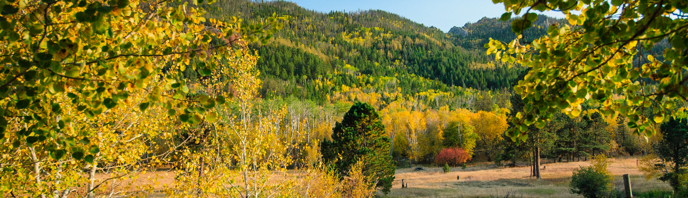 Hero image showing a South Dakota State Park