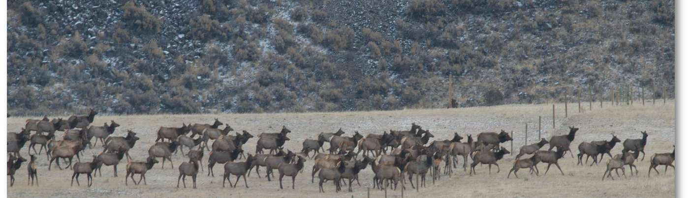 Hero image showing a South Dakota State Park