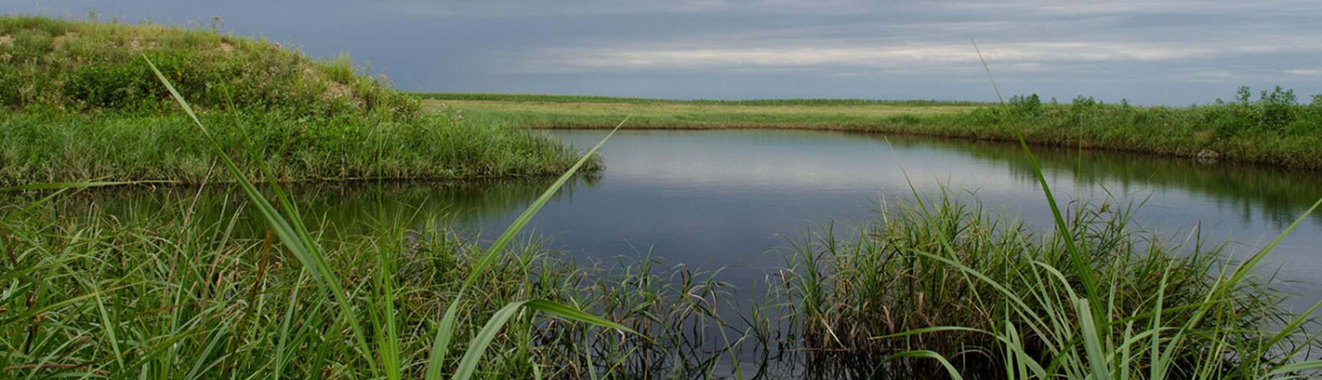 Hero image showing a South Dakota State Park