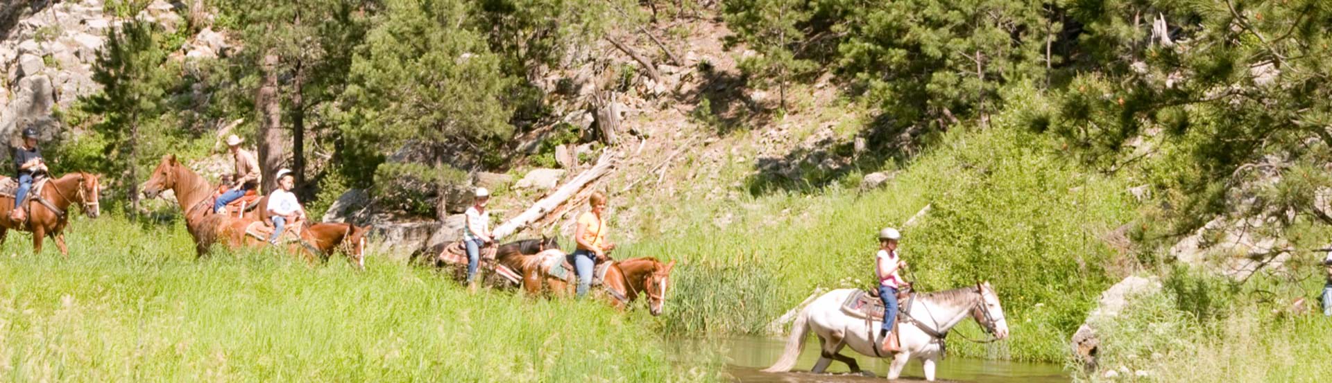 Hero image showing a South Dakota State Park