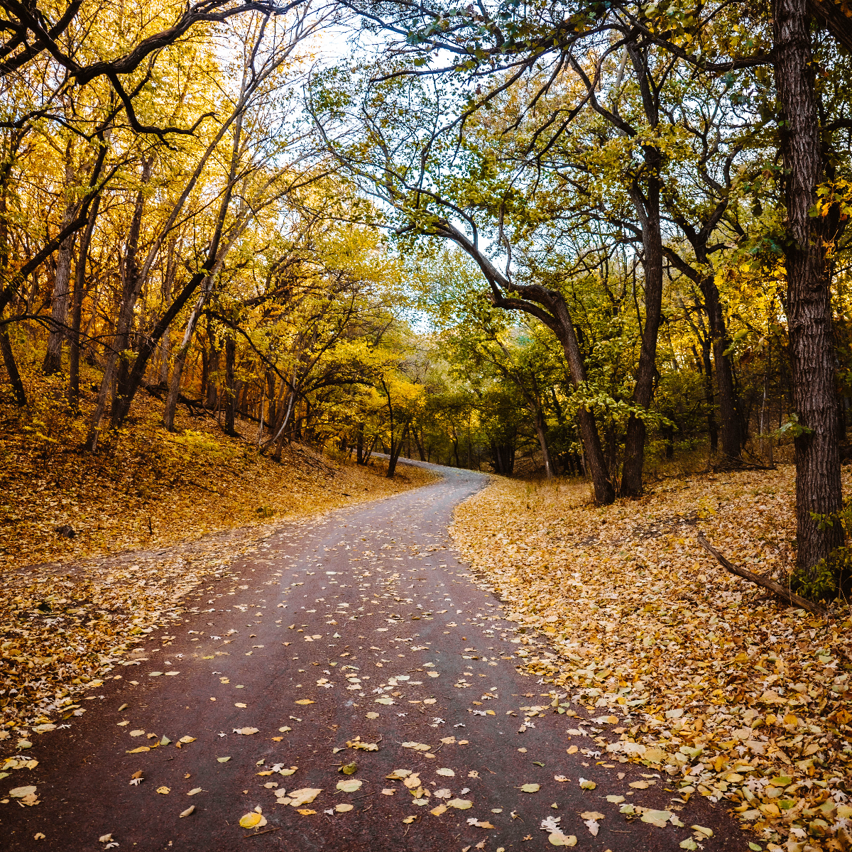 /userdocs/Newton Hills State Park